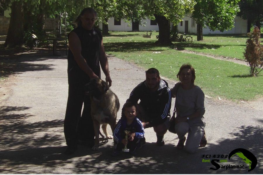 Karabash Dog And Friends