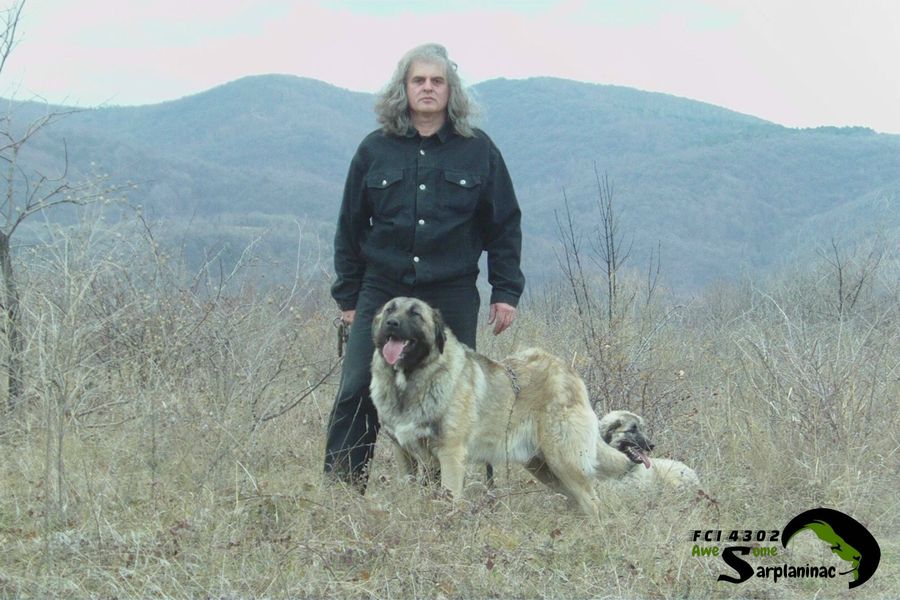 Mountain Dog And Breeder