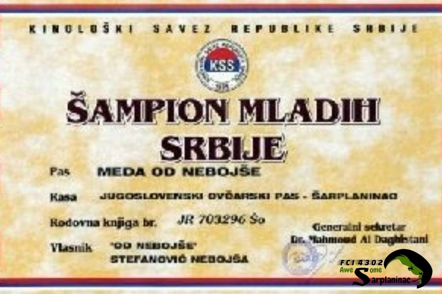 Champion Of Serbia