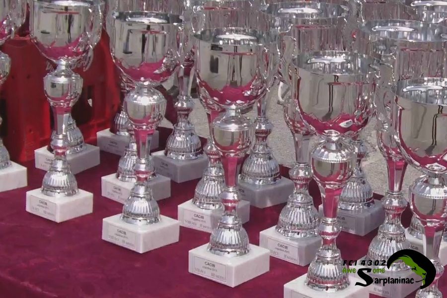 Silver trophies prepared for winners at CACIB Jagodina dog show.