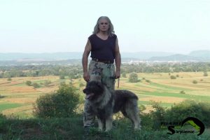 Adult guardian dog standing with breeder Nebojsa on a mountain hill overlooking the valley.