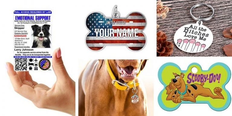 https://www.awesomesarplaninac.com/wp-content/uploads/2022/04/right-pet-id-tag-for-dog-768x384.jpg