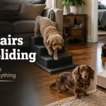 Goldendoodle, Dachshund female, and Border Collie using different dog stairs on hardwood floors inside a living room.
