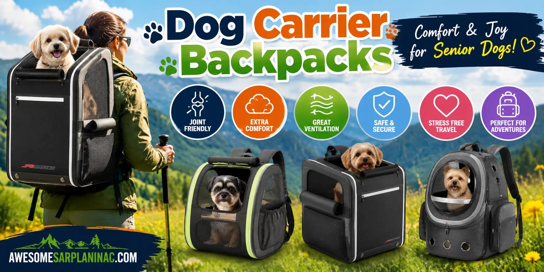 Senior dogs riding comfortably in different dog carrier backpacks during hiking and outdoor activities, showing ventilation, comfort, safety, and support features for older dogs.