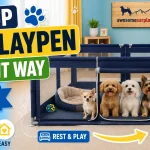 Colorful dog playpen setup for potty training small breed puppies, featuring a Chihuahua, Toy Poodle, Maltese, Yorkshire Terrier, and Cavalier King Charles Spaniel with separate sleeping and potty areas indoors.