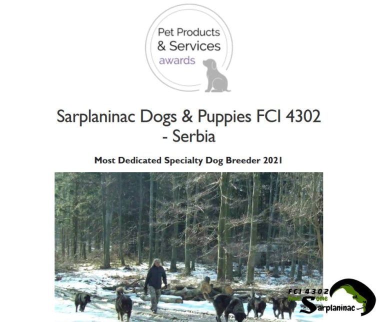 award by LUXlife Magazine - most dedicated specialty dog breeder 2021