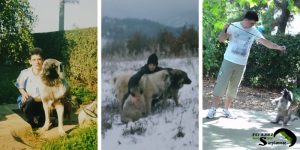 the benefits of puppies for kids