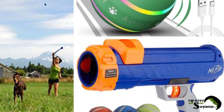 tennis ball launchers and throwers for dogs