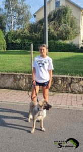 A teenage girl walking a Sarplaninac puppy on a leash, demonstrating discipline.