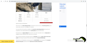 Screenshot of OutdoorDogFun website claiming Sarplaninac bite force is between 450 and 700 PSI