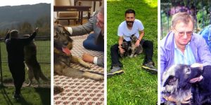 Collage of public figures and influential owners with their Sarplaninac dogs.