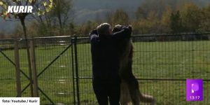 A man in a black jacket embracing a very large Sarplaninac dog standing on its hind legs.