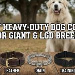 Review of the 5 best heavy-duty dog collars including tactical, leather, and Biothane specifically for Giant and LGD breeds like the Sarplaninac.