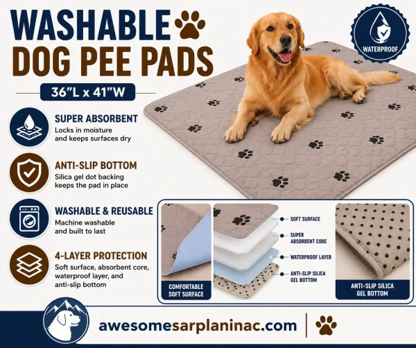 Golden Retriever resting on a washable anti-slip dog pee pad designed for crates and indoor hard floors