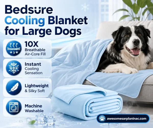 Black and white Border Collie resting under a light blue Bedsure cooling blanket for large dogs on a sofa indoors during summer. The breathable lightweight blanket features cooling fabric, Air-Core fill, silky soft texture, and machine washable material designed to keep dogs comfortable during warm nights.