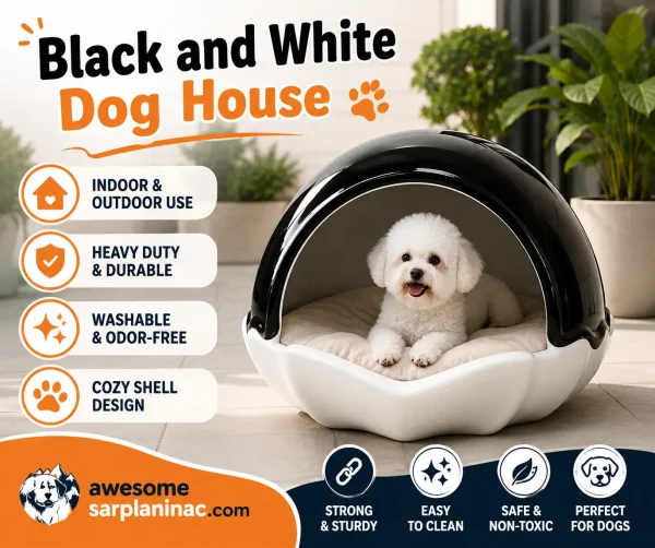 Small Maltese dog resting inside a black and white shell-shaped dog house with a washable cushion and modern indoor outdoor design