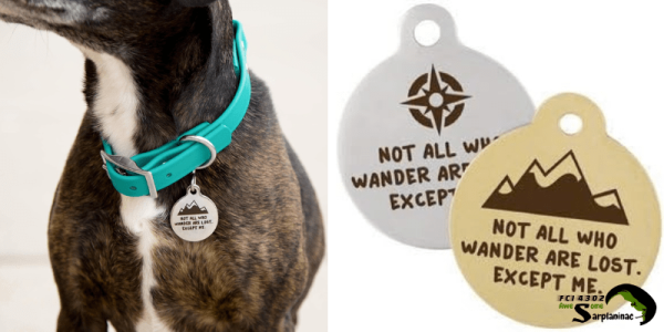 DogIDs Heavy-Duty Round Brass Dog Charm featuring a permanent mountain graphic and a Lifetime Legibility Guarantee, shown with an example of deep engraving.