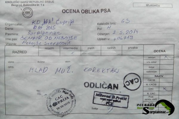 Dog show report for Ben by FCI judge Milovan Protić at CAC Cuprija