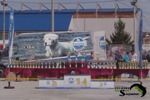 Dog show trophies at CACIB Jagodina event in the ring area