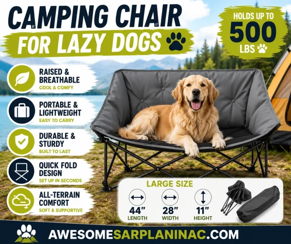 Golden Retriever relaxing on a portable elevated camping chair for dogs outdoors