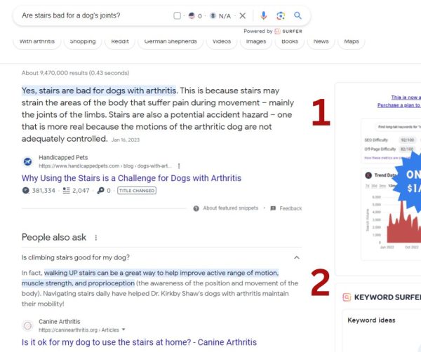 A screenshot showing contradictory Google search results about dogs and stairs, where one source claims stairs are harmful while another recommends them for muscle strength and joint mobility.