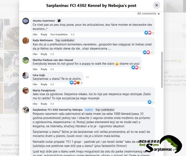 A screenshot of negative Facebook comments criticizing a breeder for letting a puppy use stairs, illustrating the public backlash and common misconceptions among online dog owners.