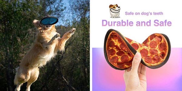 Golden Retriever catching a flying disc and a hand holding a durable pizza-shaped soft dog toy.