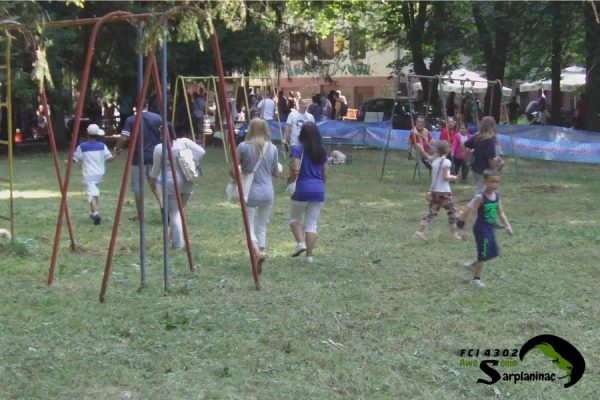 Visitors and children walking around dog show area outside the ring