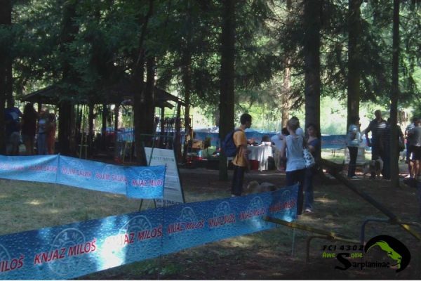 Dog show area in a forest setting with participants and dogs around the ring