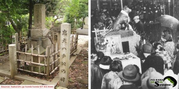 The grave of Hachiko at Aoyama Cemetery and a historical photo of his funeral ceremony in 1935.