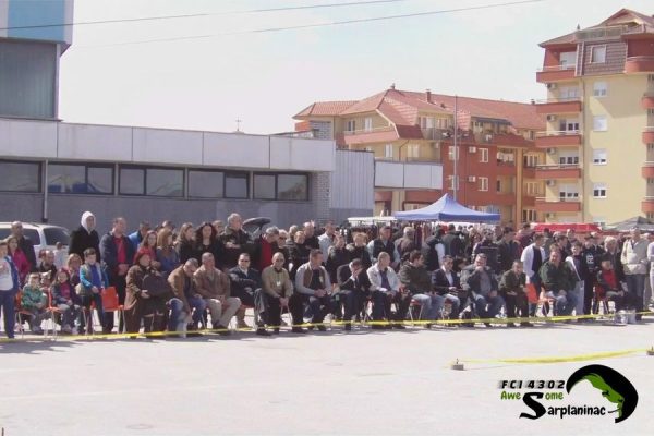 Audience and judges seated outside the ring during a cacib dog show.