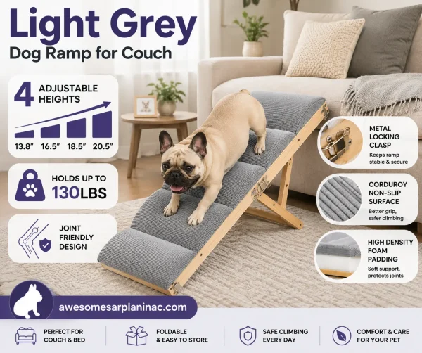 Light grey folding dog ramp with adjustable height and non-slip surface beside a couch with a French Bulldog using the ramp indoors