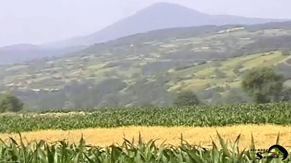 A panoramic view of the forested hills and agricultural fields on the slopes of Mountain Juhor in central Serbia.