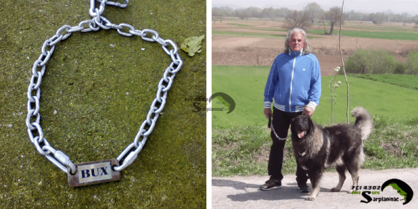 Our Sarplaninac dog, Bux, wearing a heavy-duty, battle-tested steel dog tag on a chain collar in a mountain landscape, showcasing long-term durability proof.