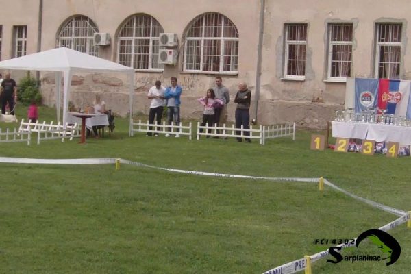 Dog show ring with trophies, awards, and small white fences at CAC Paracin.