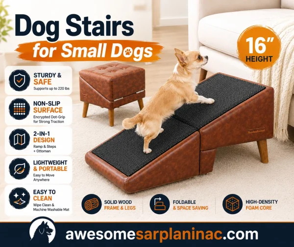 Chihuahua dog climbing non-slip pet stairs with wooden legs near a couch indoors