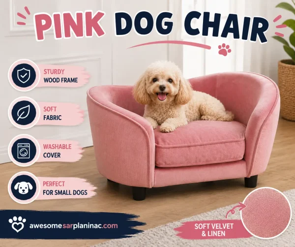 Pink dog chair for small dogs with soft velvet fabric, washable cushion, and a cozy cushioned seat shown in a home setting.