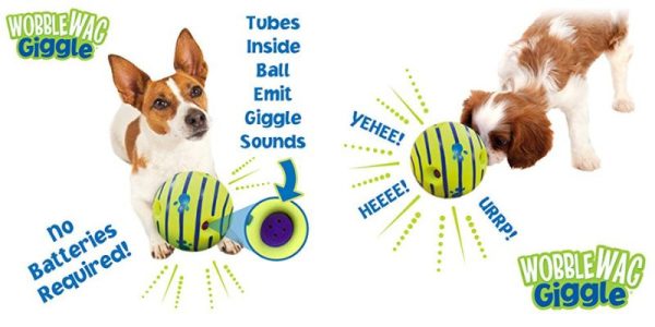 Using a squeaky toy to get puppies used to loud noises.
