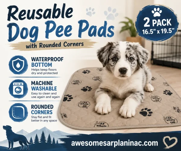 Border Collie puppy resting on reusable waterproof dog pee pads with rounded corners and washable quilted surface