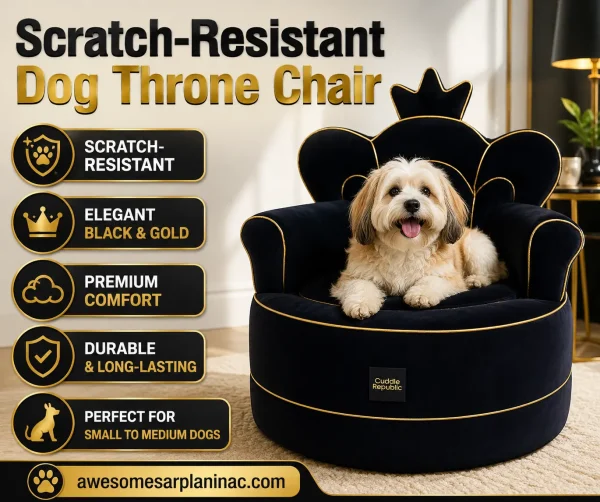 Small fluffy dog relaxing on a black and gold scratch-resistant throne chair for indoor comfort.
