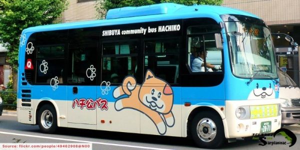 A blue Shibuya community bus in Tokyo featuring a cartoon illustration of Hachiko.