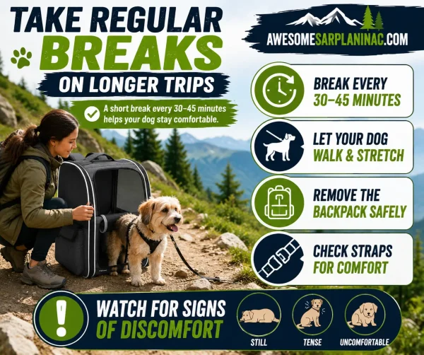 Infographic showing how to take regular breaks during longer trips with a dog backpack carrier, including walking, stretching, checking straps for comfort, and watching for signs of discomfort in a small breed dog.