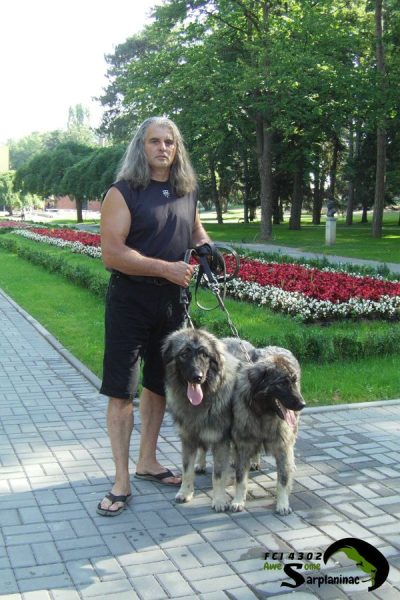 A breeder standing with two Sarplaninac dogs on a paved path in the flower park of Vrnjacka Banja.