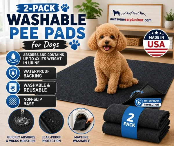 Toy Poodle sitting on a washable dog pee pad with waterproof backing, non-slip base, absorbent surface, and reusable design for indoor potty training.